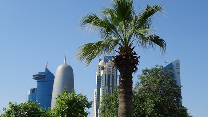 Fototapeta premium Skyline of Doha in Qatar