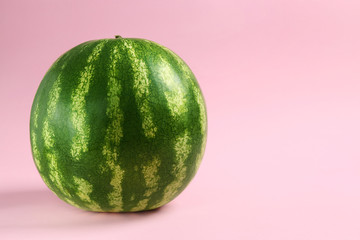 watermelon on a pink background