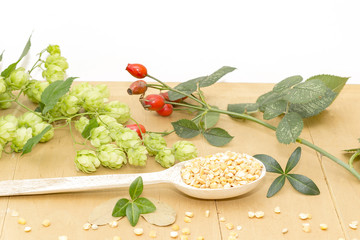 peas in a wooden spoon, hops and rose hips close-up
