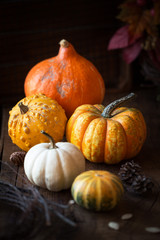 Autumn or fall concept setting with variety of orange pumpkins