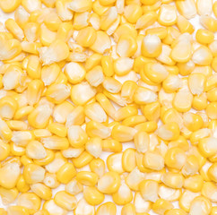 sweet yellow corn
