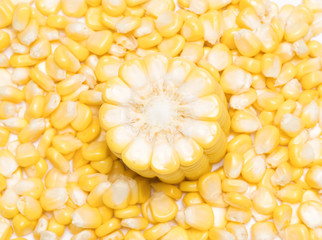 sweet yellow corn