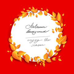 Orange Bright leaves background
