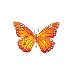 Obraz na płótnie Canvas Bright orange butterfly