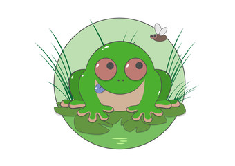 green toad in the grass