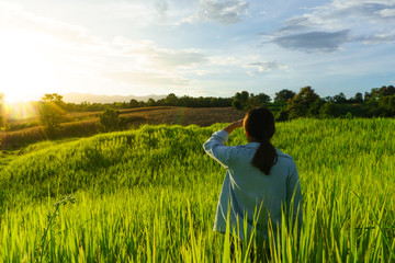 The girl wore a jean shirt walking in a green meadow at sunset