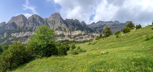 Fototapeta na wymiar The mountains and the massif along the green path to the Piedrafita de Jaca lake in the aragonese Pyrenees mountains