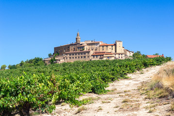 Fototapeta na wymiar Vineyard with Labraza town as background, Rioja Alavesa, Spain