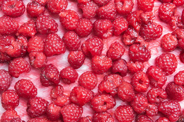 Fresh juicy raspberries background closeup photo ecological natural from your kitchen garden
