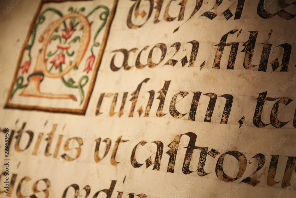 Fototapete a close up view of an old book sheet made of parchment with some blackletter latin writings and a co