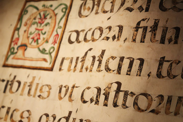 A close up view of an old book sheet made of parchment with some blackletter Latin writings and a colored miniature - obrazy, fototapety, plakaty