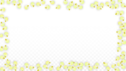 Vector Realistic Pink Petals Falling on Transparent Background.  Spring Romantic Flowers Illustration. Flying Petals. Sakura Spa Design. Blossom Confetti.