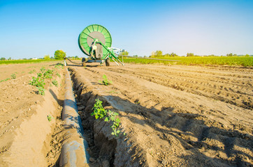 Irrigation system for watering of agricultural crops with a big hose reel. Large industrial...