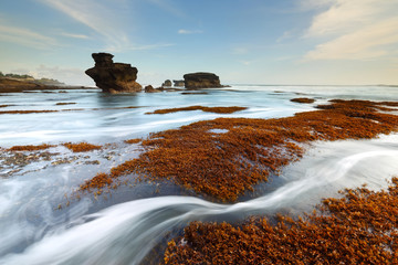 When the water dropped to seeing orange or red algae on the Melasti beach at sunset in bali indonesia