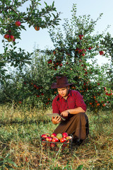 man garden collect ripe apples hat green red proprietor worker owner harvest