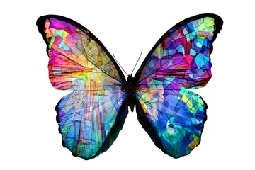 Deurstickers Vlinder veelkleurige vlinder geïsoleerd op witte achtergrond