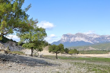 A green landscape of the Mediano artificial lake in the Spanish Aragonese Pyrenees as seen from...