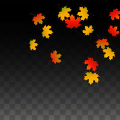 September Vector Background with Golden Falling Leaves. Autumn Illustration with Maple Red, Orange, Yellow Foliage. Isolated Leaf on Transparent Background. Bright Swirl. Suitable for Posters.