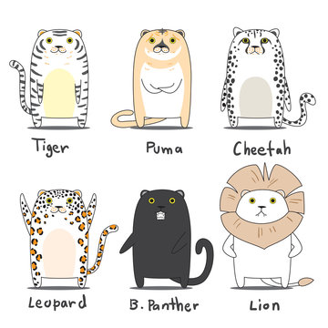 tiger character set