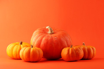 Diverse assortment of pumpkins on a orange background. Autumn harvest