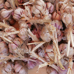 organic wild garlic top view, food background