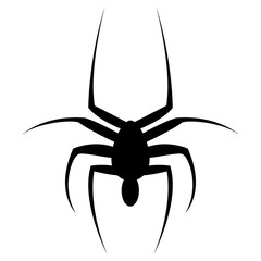 Black spider icon isolated on white background. Big Spider.