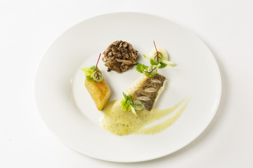 Sandre sur lit de pleurote