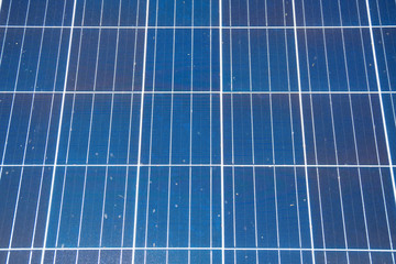 Close-up view of blue solar panels. Renewable energy.