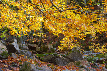 Ordesa National Park