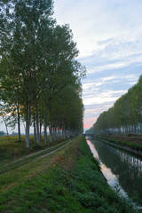 Fototapeta na wymiar A landscape of the artificial Cavour canal surrounded by high green poplar trees lined up along its shores and reflecting into the water, during a cloudy sunset in autumn