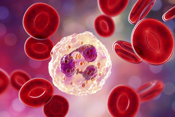 Neutrophil, a white blood cell, 3D illustration. The most abundant type of granulocytes, has phagocyting activity, takes part in inflammation
