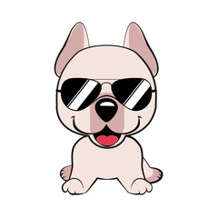 Isolated colorful head and face of happy labrador retriever on white background. Color flat cartoon breed dog portrait