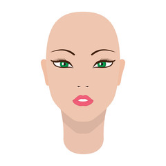 Vector illustration of a beautiful dummy girl head