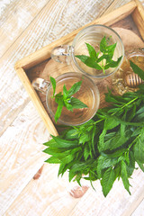 Hot herbal mint tea drink in glass mug