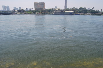 Fototapeta premium The River Nile, Egypt, North Africa