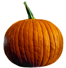 A perfect pumpkin with a round shape and green stem on a white background.