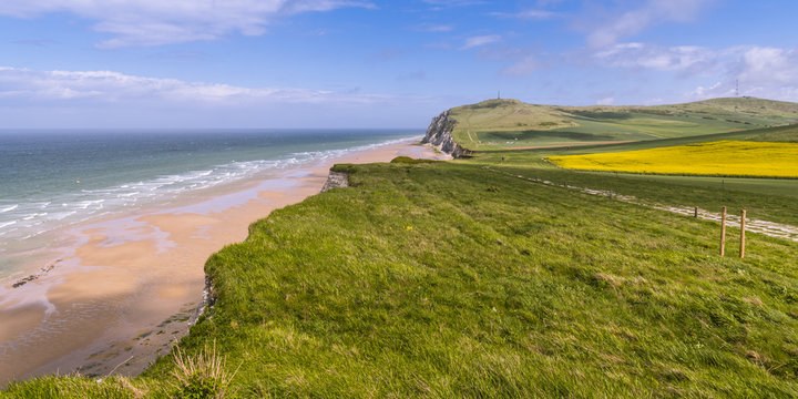 Champ de Colza devant le Cap blanc-Nez - C&ocirc;te d'Opale - Site des deux Caps