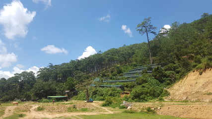 landscape in the village