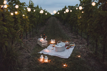 Food and lights arranged in vineyard for picnic at dusk