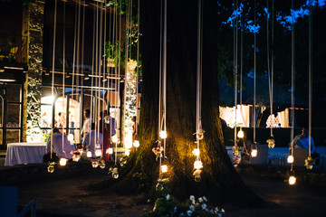 candles hanging from an oak light up the garden at night for party