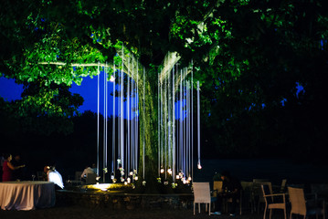 candles hanging from an oak light up the garden at night for party