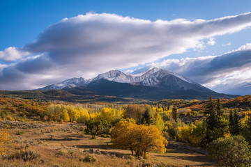 Fall Color at Mt Sorpis - Colorado - 223713363