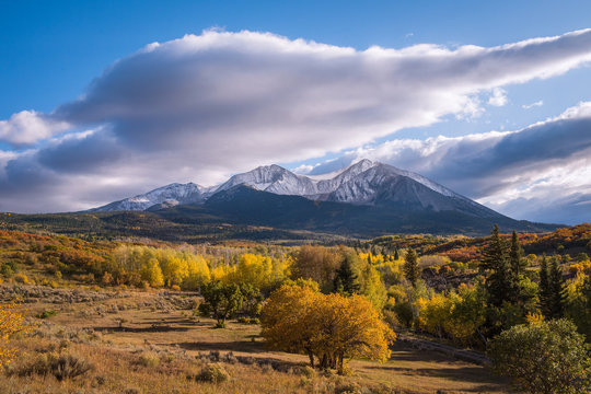 Fall Color at Mt Sorpis - Colorado