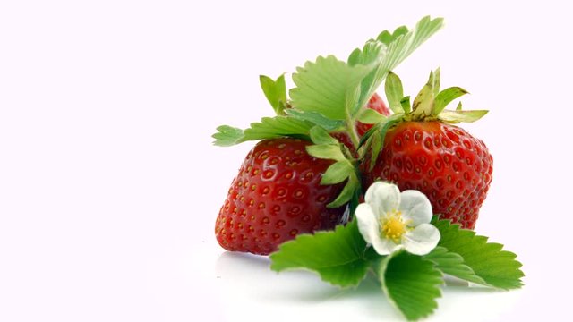 Strawberry closeup. Ripe berries with leaves and blooming flower. Rotation over white background. Slow motion. 4K UHD video 3840X2160