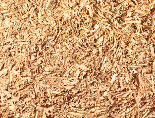 Wooden sawdust background texture