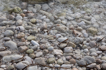 shore with stones