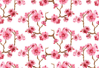 Fototapeta premium Seamles pattern with sakura