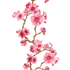 Fototapeta premium Seamles pattern with sakura