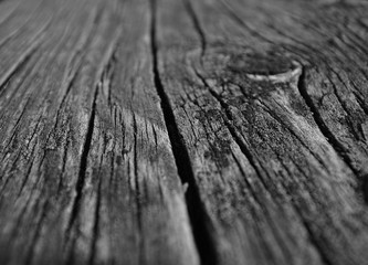 texture of old wood