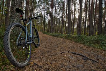 Fototapeta premium mountain bike ride through the forest
